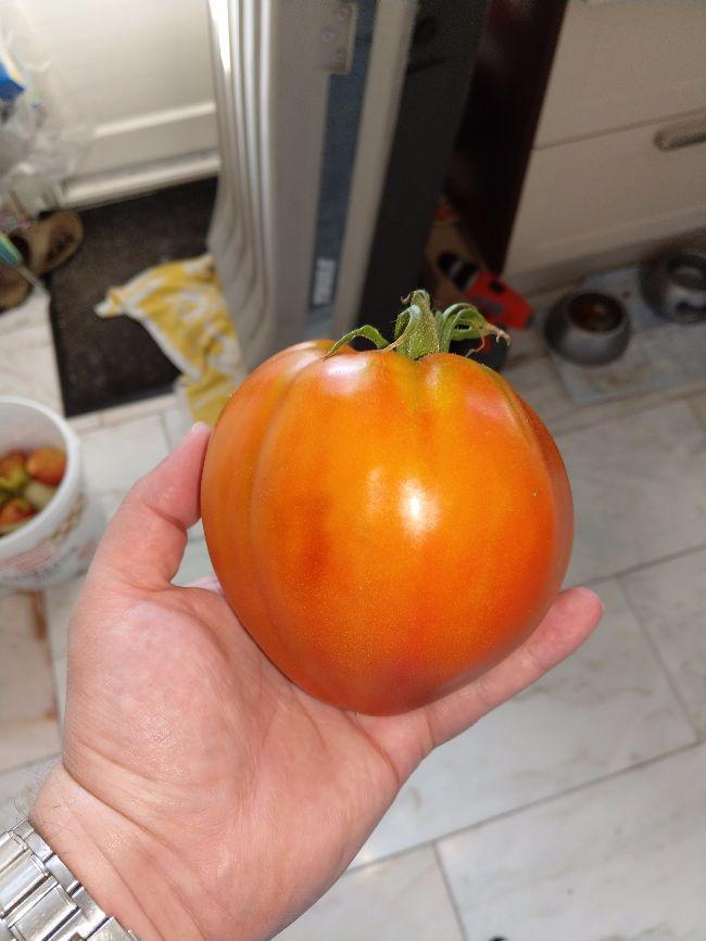 IMAG104879581502044909.jpg