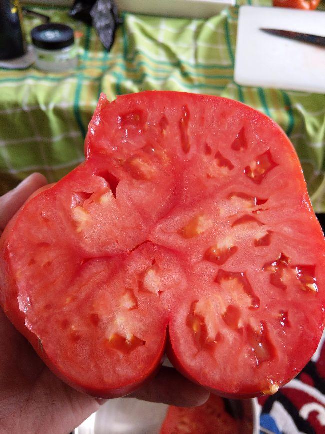 IMAG110031611502642750.jpg