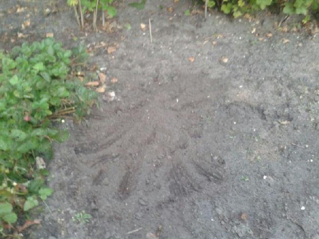IMG-20131007-WA000193461381173466.jpg