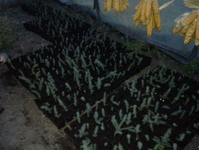 IMG-20140113-WA000871271389645228.jpg