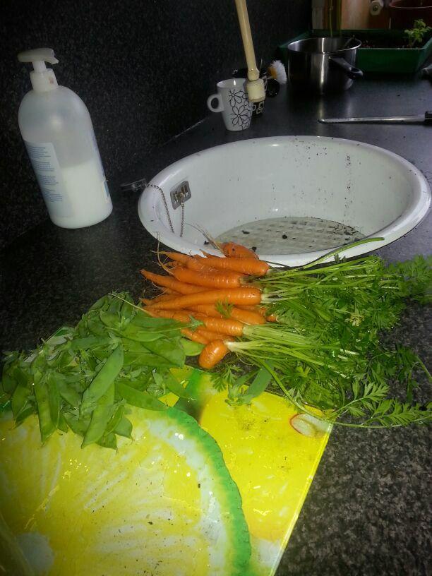 IMG-20140612-WA000263281402637898.jpg