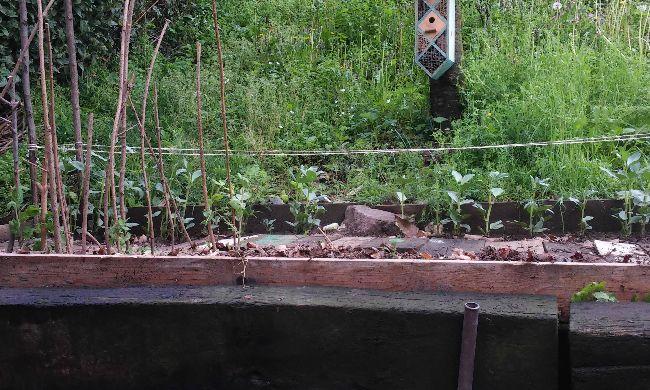 IMG-20160417-WA000294021460910852.jpeg