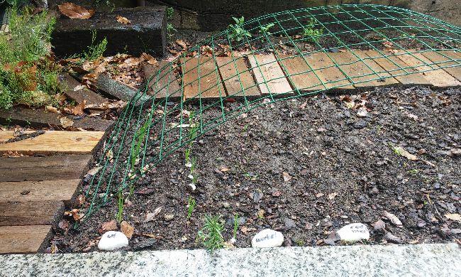 IMG-20160417-WA002174721460910947.jpeg