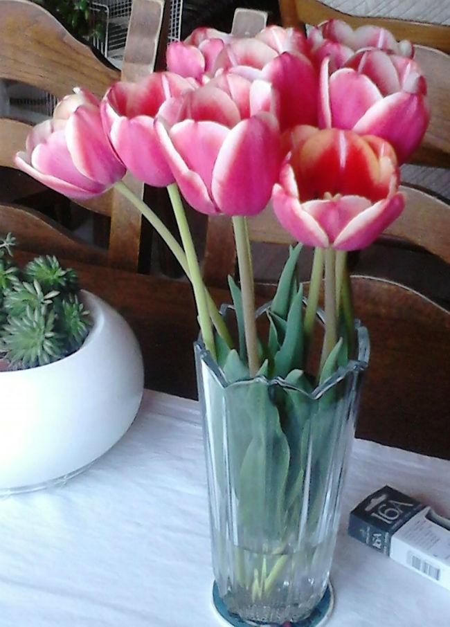 IMG-20160420-WA000068011461178632.jpeg