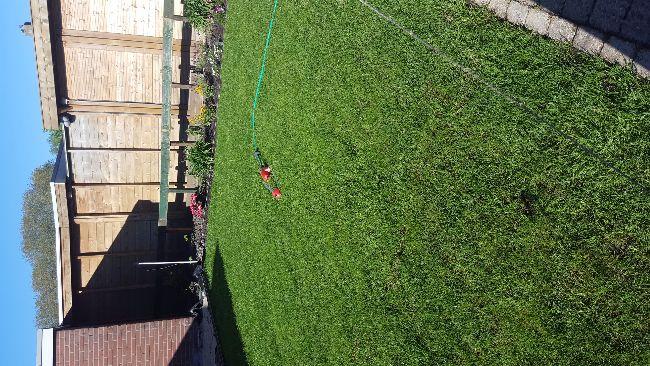 IMG-20160509-WA000287331462782357.jpeg