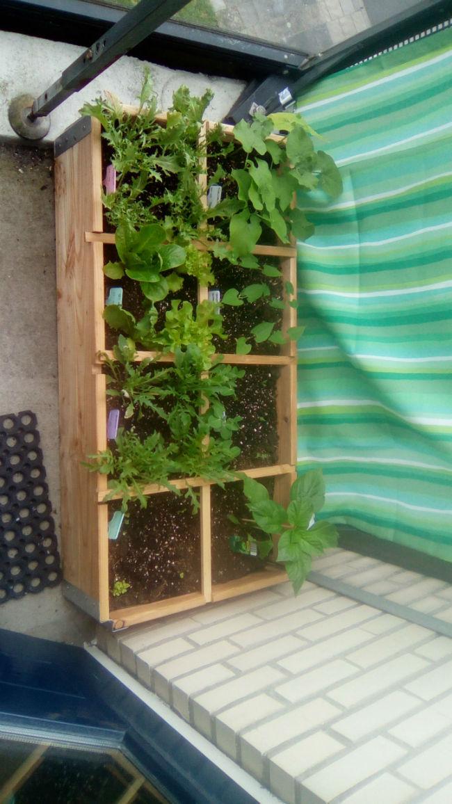 IMG-20160607-WA000563801465284695.jpeg