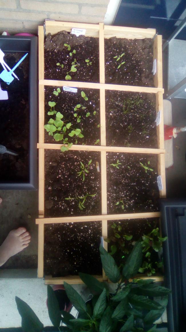 IMG-20160607-WA0011115421465284712.jpeg