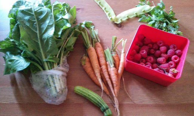 IMG-20160628-WA000128931467132168.jpeg