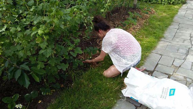 IMG-20170521-WA000175441495552017.jpg