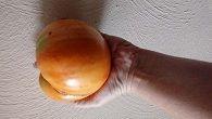 IMG-20180816-WA000037641534940197-klein90731534940679.jpg
