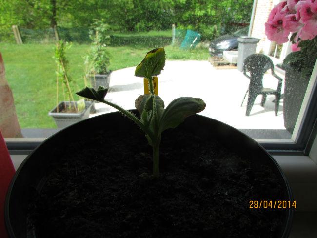 IMG018839541398675242.JPG