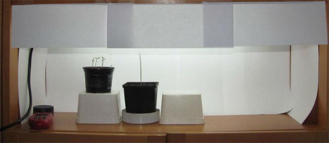 IMG0316k78921390810856.JPG