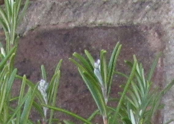 IMG0345k244951392206080.JPG