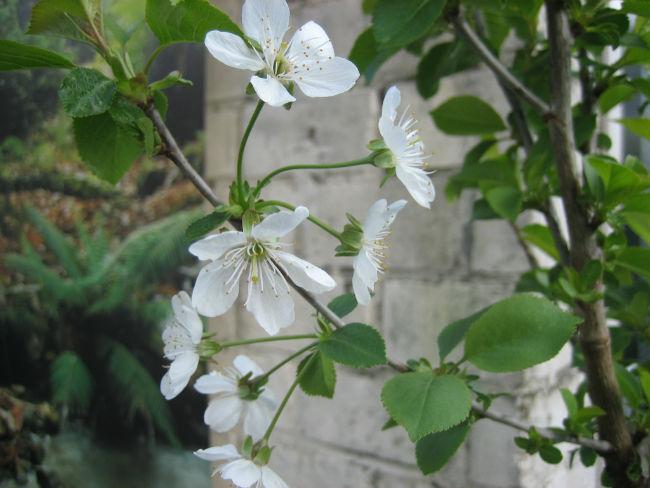 IMG067869491396796482.JPG