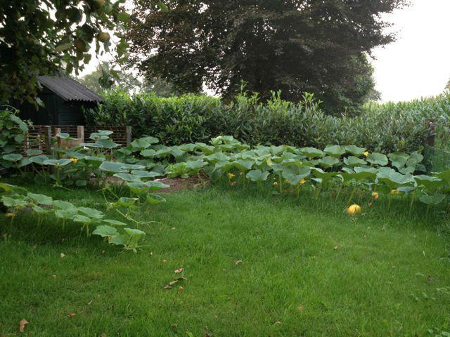IMG091915471377113988.jpg