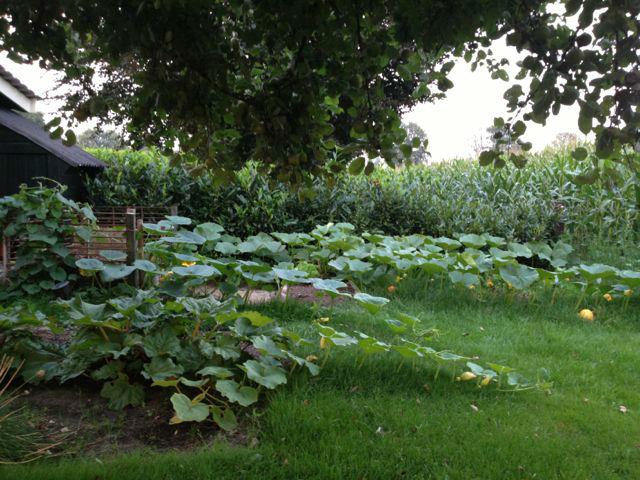 IMG092219431377114005.jpg
