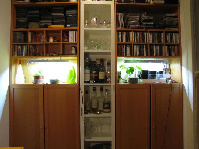 IMG099140211418395371.JPG