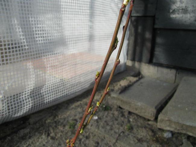 IMG118024361426073592.JPG