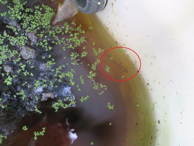 IMG129439161502524201.JPG