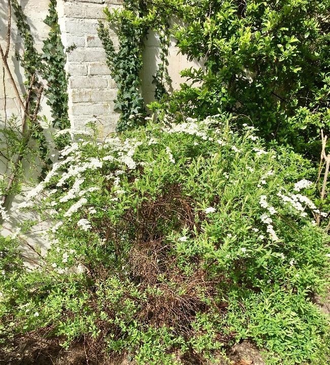 IMG152038901491387653.JPG