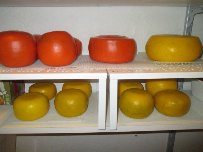 IMG171474841448887442.JPG
