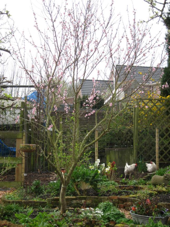 IMG179553401413487869.jpg