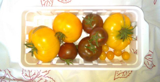 IMG20130810154044tomaten26811376510561.jpg