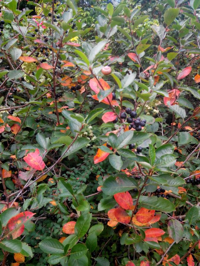 IMG2013091312014329251379181200.jpg