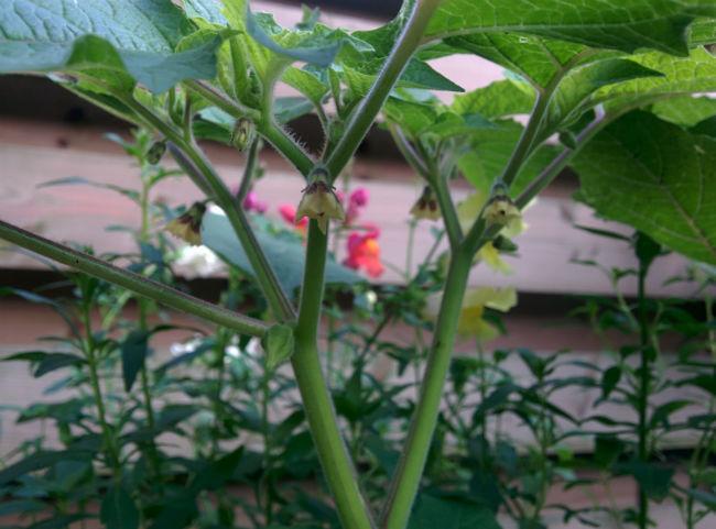 IMG2016062721054349321467924981.jpg