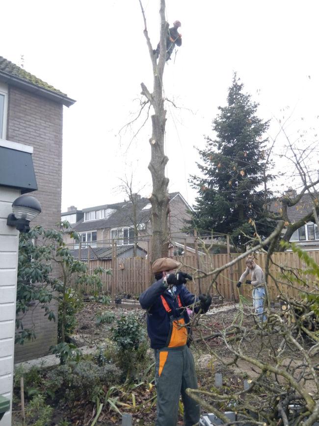 Afbeelding
