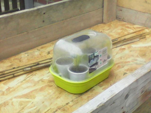 IMG2017022611064885941488111954.jpg