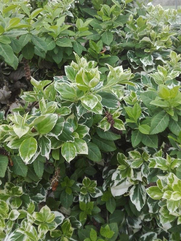 IMG2017040215134913331491142205.jpg