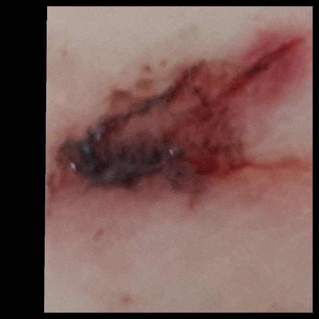 IMG2018-04-2317-25-5638341524497274.JPG