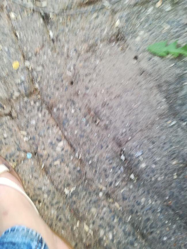 IMG2018052818171415911527524336.jpg