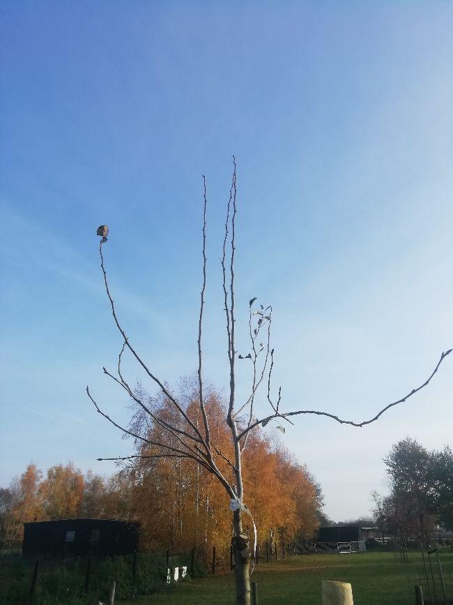 IMG2019112411364621941574592765.jpg
