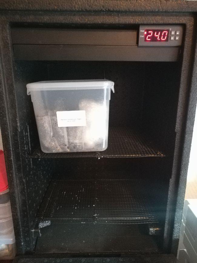 IMG2019121911085394351576751679.jpg
