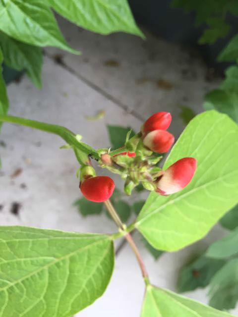 IMG202473781434905572.jpg