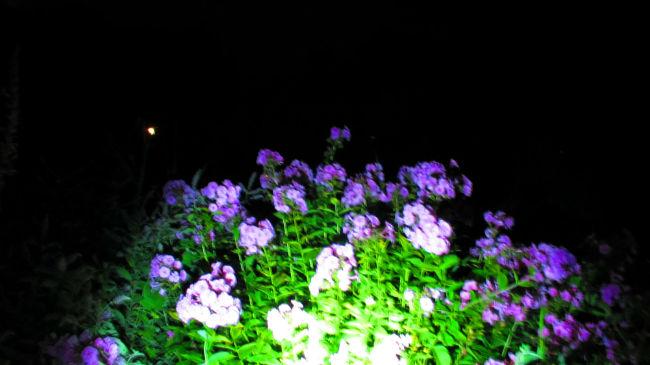 IMG223665051410732004.JPG