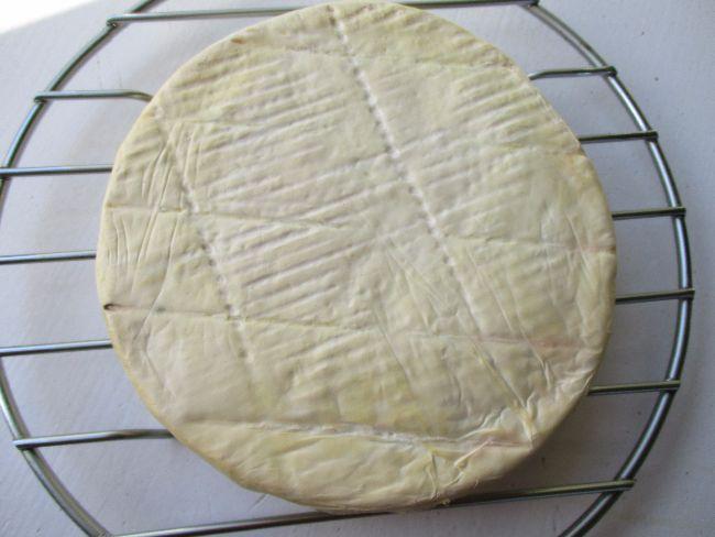IMG254232511511089924.JPG