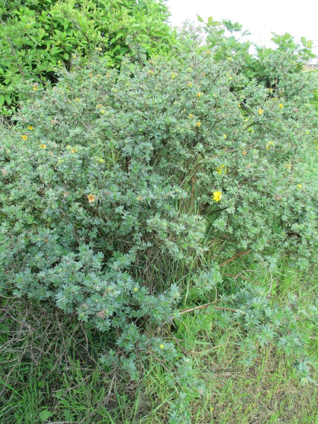 IMG291230091401732091.JPG