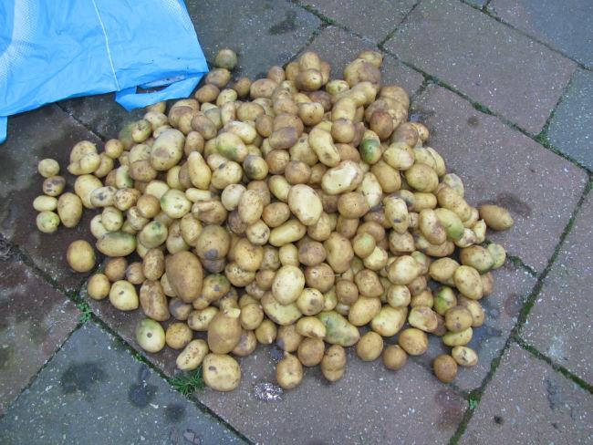 IMG304660221444667929.JPG