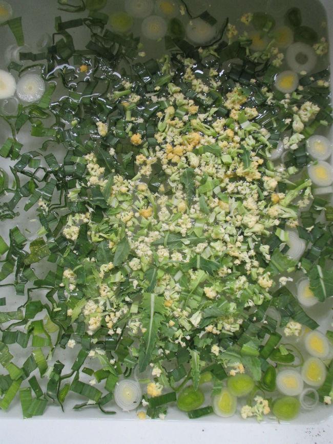 IMG396897731461909523.JPG