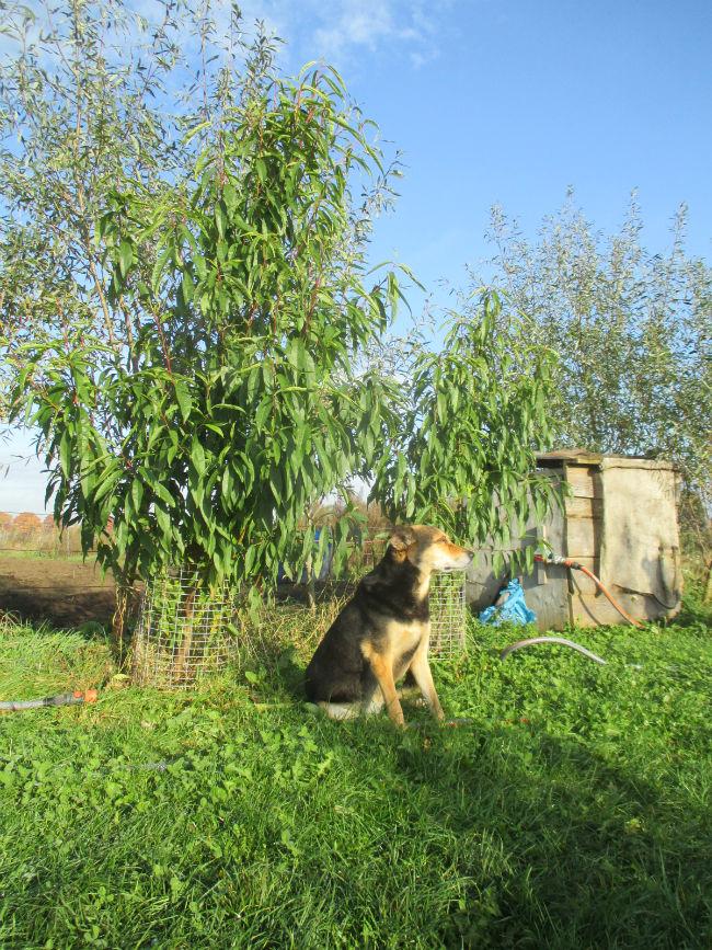 IMG663581141479983929.JPG