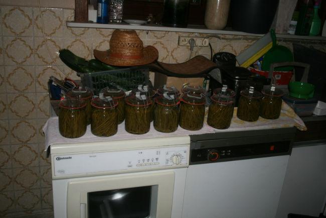 IMG706469181376596032.JPG