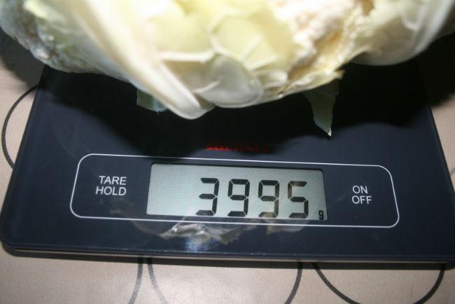 IMG824191131449652408.JPG