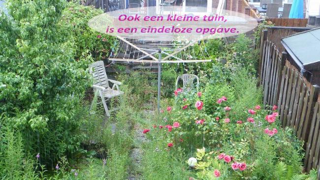 Kleine-verwaarloosde-tuin41541516785186.jpg