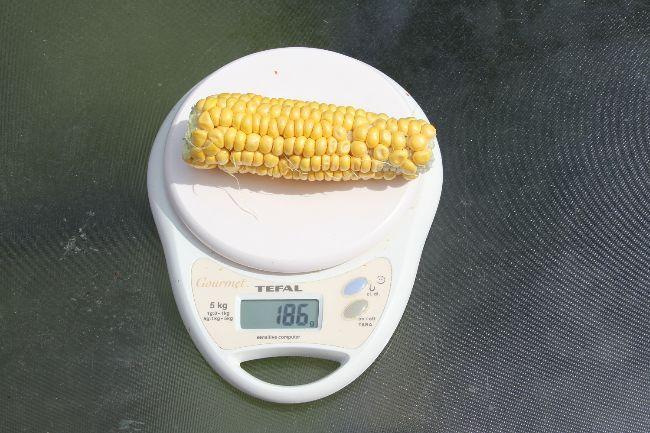 Kolf281901565780086.jpg