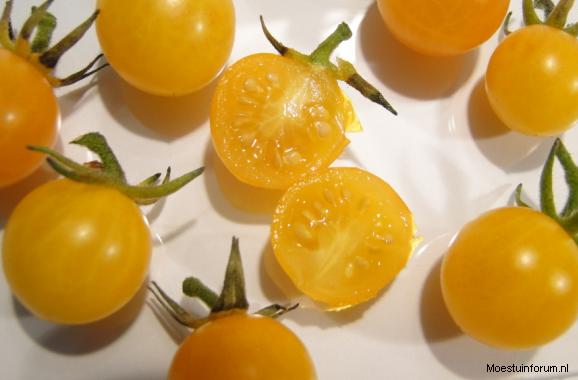 Millefleur239471384009658.PNG