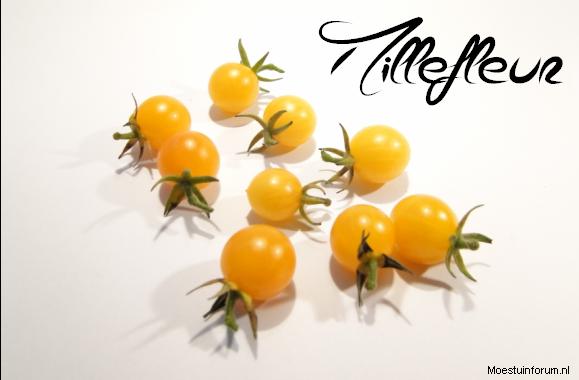 Millefleur82491384009653.PNG