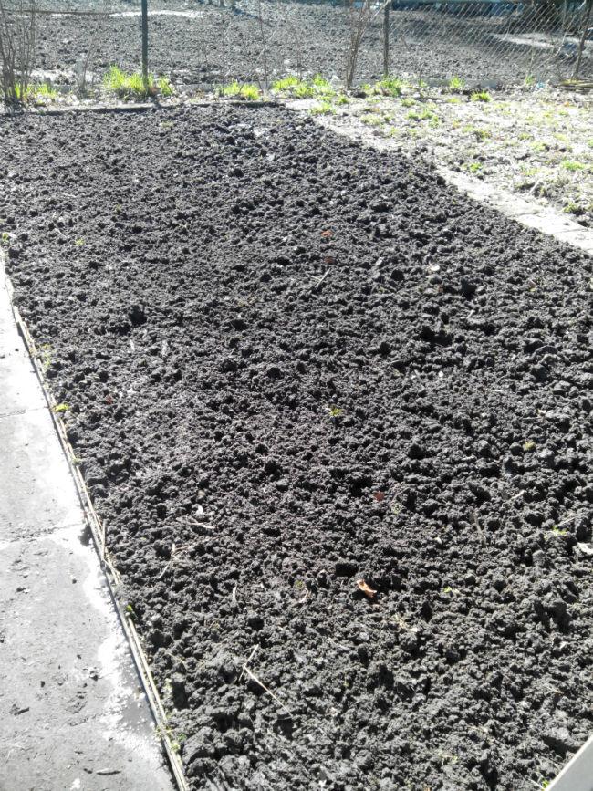 Moestuin-23-3-15-foto-320761427365910.jpg
